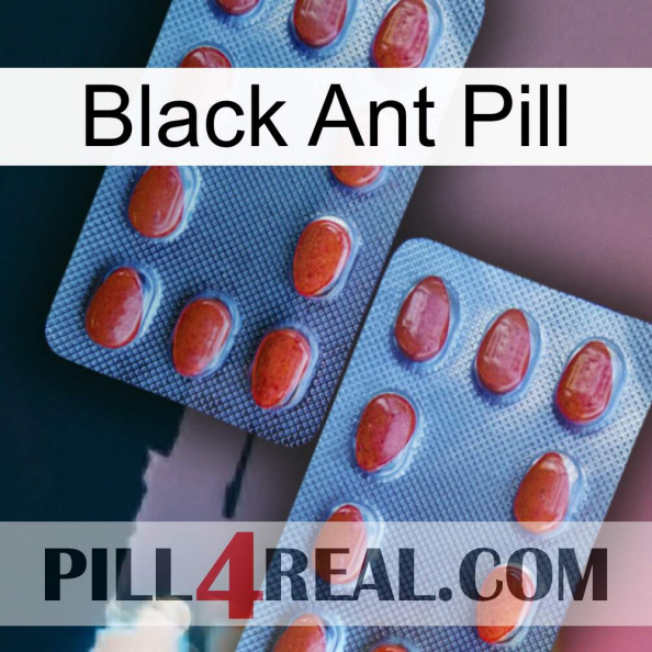 Black Ant Pill 05.jpg